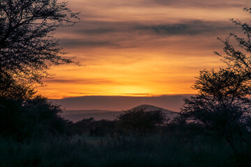 Obraz premium Tanzania - Serengeti National Park - A Tapestry of Colors Over the Tanzanian Savannah