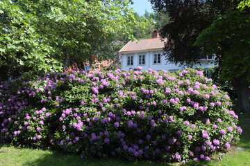 Sweden The Townnna Located Lakettern