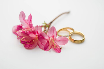 A delicate arrangement of vibrant pink flowers and two elegant golden wedding rings, beautifully displayed on a pristine white background, exuding romance and elegance
