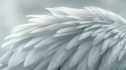 Obraz premium Minimalist 2D flat color pattern of a pelicanâ€™s feathers, showcasing their smooth, overlapping layers in shades of white and grey for a sleek, elegant look. Flat color illustration, shiny, Minimal