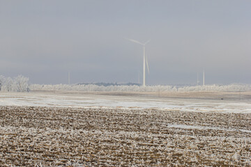 wind turbines in fog