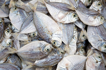 Dried Fish Seafood Asian Market
