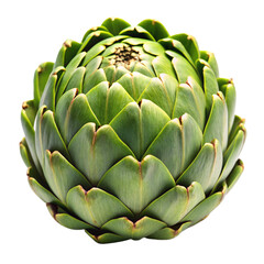 closeup photo of artichoke on a transparent background
