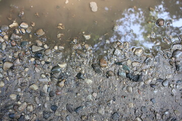 Shallow water along the lake shore.