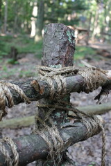 two tree branches tied with rope