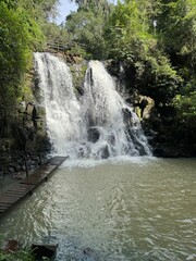 Fototapeta premium waterfall in the forest