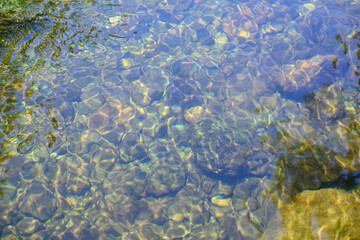 透き通った川の水