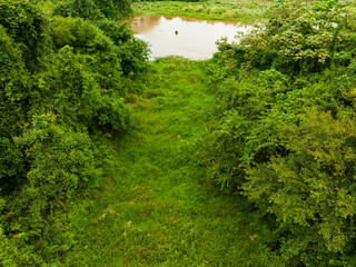 Aerial view Drone camera top view rainforest trees ecology with healthy environment concept and...