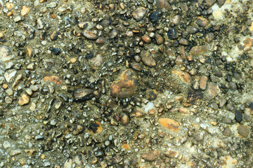 Gray stone gravel floor texture background with mossy rocks.