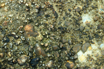 Gray stone gravel floor texture background with mossy rocks.