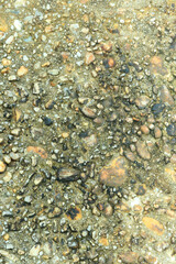 Gray stone gravel floor texture background with mossy rocks.