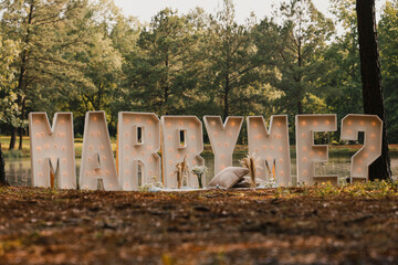 Marry Me? Wedding Proposal in the woods.