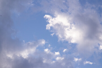 Fototapeta premium Blue skies with scattered clouds, birds flying high!