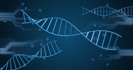 Image of spinning dna structures and microprocesor connections against blue background