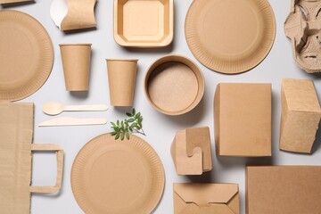 Flat lay composition with eco friendly food packagings and twig on light grey background
