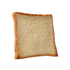 One piece of fresh toast bread isolated on white