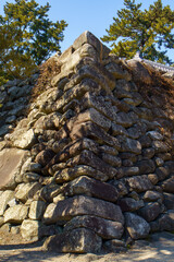 石垣を見上げる