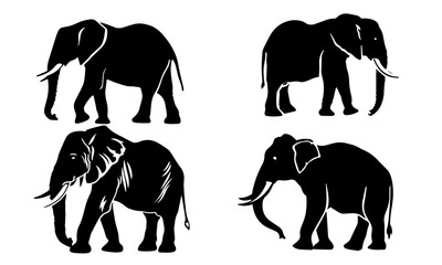 Obraz premium side view silhouette of elephants