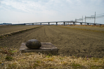 田んぼに置かれた丸石