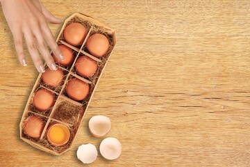 women with cardboard egg box on the desk