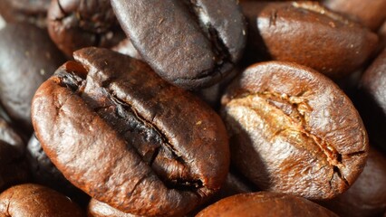 In a close embrace, coffee beans unveil their secret hues, kissed by oils and bathed in rich browns. Each texture whispers of careful roasting, a promise of flavor's crescendo.
