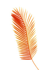 Red dyed areca palm leaf design element