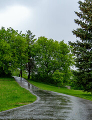 road in the park