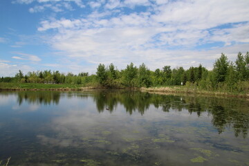 Spring On The Water, Pylypow Wetlands, Edmonton, Alberta