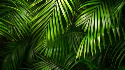 exture of palm branches in the background