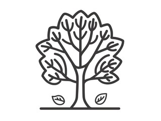 Obraz premium Line art illustration of a simple tree with leaves falling.