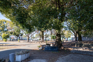 水前寺運動公園（熊本県熊本市）