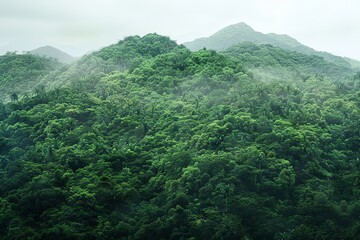 Mountain background with dense forest at the base, close up, wilderness theme, realistic, composite, lush greenery backdrop