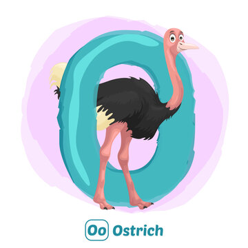 stock vector of O for ostrich. alphabet animal for education
