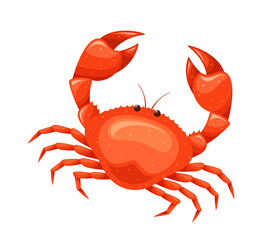 Red Crab With Detailed Claws And Legs Isolated On White Background, Vibrant Cartoon Vector Illustration