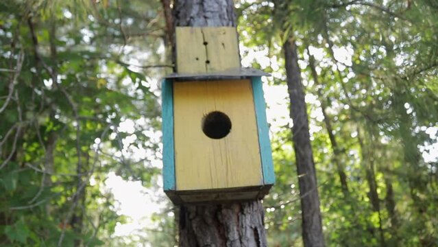 Slow Motion Handheld shot around a Yellow Bluebird House in the Evening with the Sun in the Back