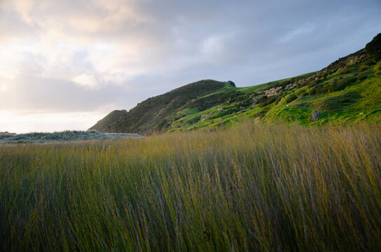Spirits Bay Camping