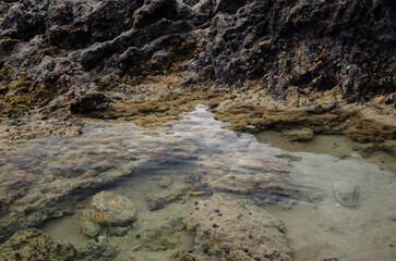 Rock Pool