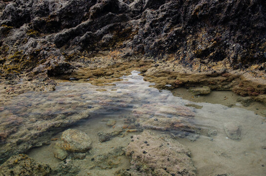 Rock Pool
