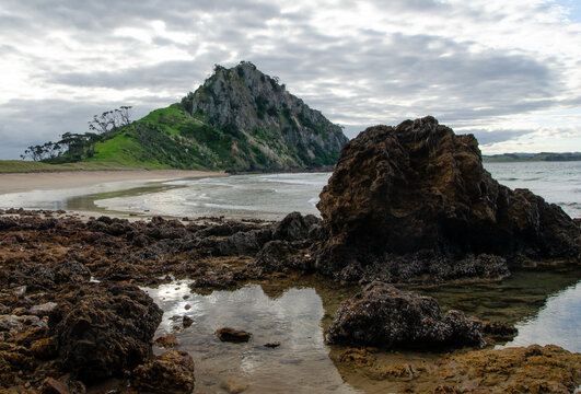 Pataua South Beach