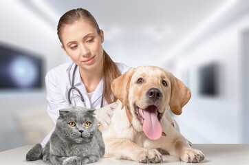 Smiling vet doctor with dog pet and fluffy cat