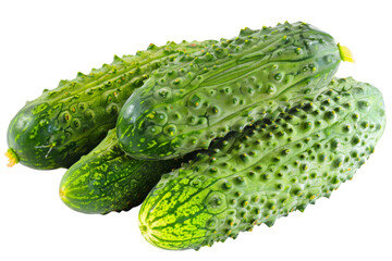 Four cucumbers with green skin and white seeds