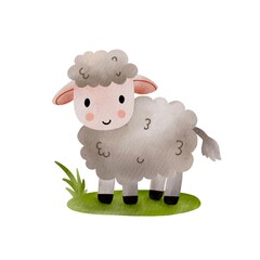 Sheep watercolor paint ilustration collection