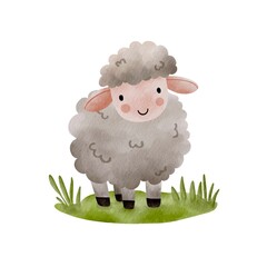 Sheep watercolor paint ilustration collection