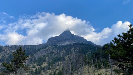 Nature photography in Nevado de Colima in Jalisco, Mexico