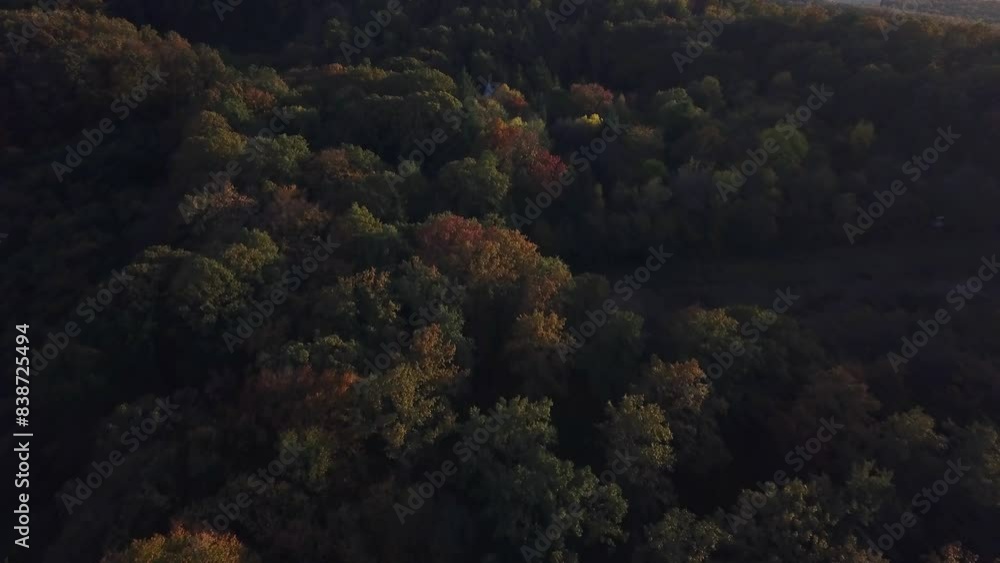 Poster drone flying above the autumn color trees with camera top down and slowly revealing the colorful aut