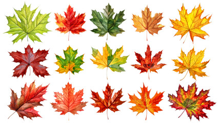 Fototapeta premium Detailed watercolor depictions of autumn leaves in green, yellow, red, and orange tones