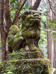 苔が生えた龍穴神社の狛犬