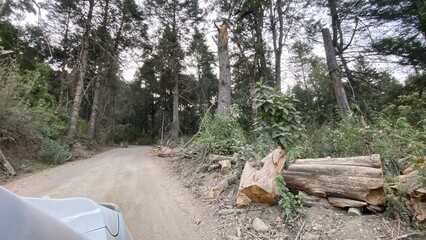 Nature photography on the way to Nevado de Colima in Jalisco, Mexico