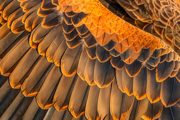 AI generated photo of Mesmerizing Close-Up of Golden Eagle's Feather Patterns