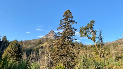 Nature photography in Nevado de Colima in Jalisco, Mexico © mario